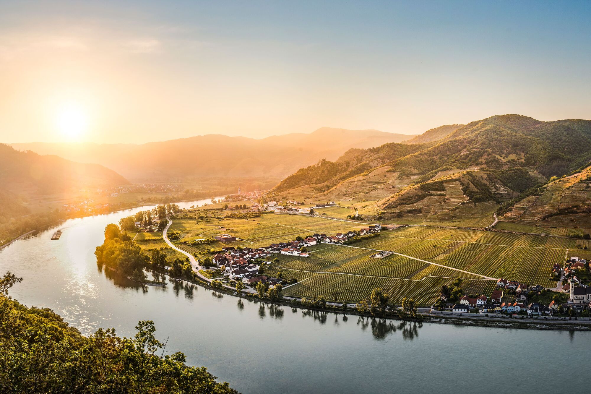 Weinbau Wachau © ÖMW / WSNA