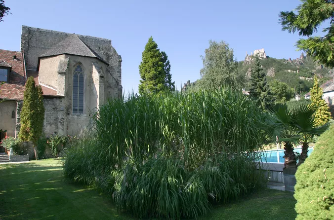 Klostergarten