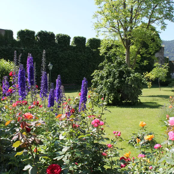 Ausblick auf den Garten