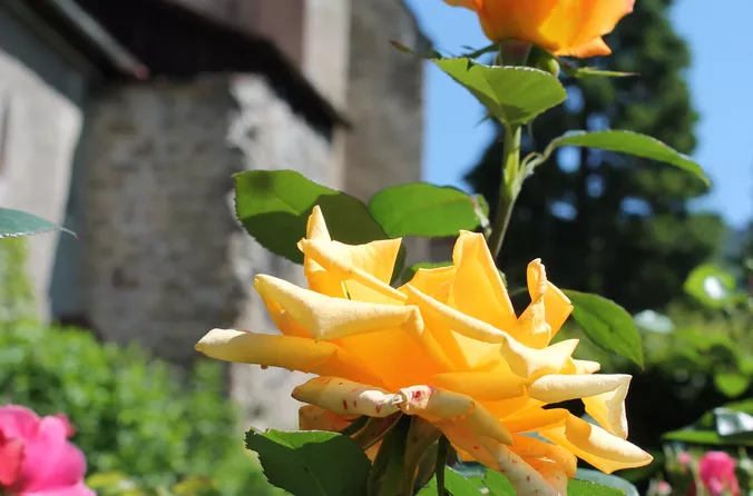 Klostergarten