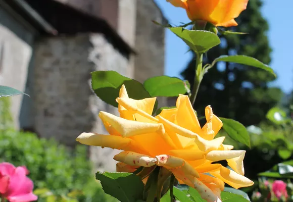 Klostergarten
