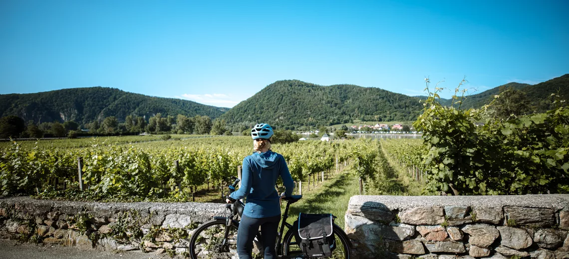 Donauradweg © Österreich Werbung / Sebastian Canaves